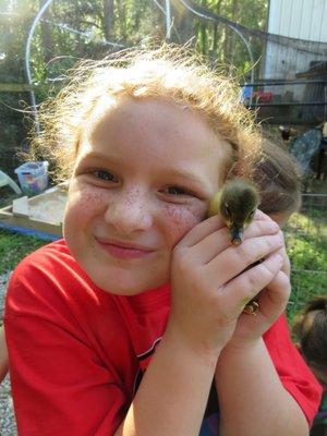 holding a baby duck