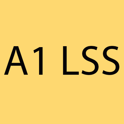 A1 Lock & Safe Shop