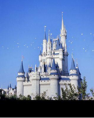 Experience the magic of Walt Disney! Did I mention MAGIC... enough said!