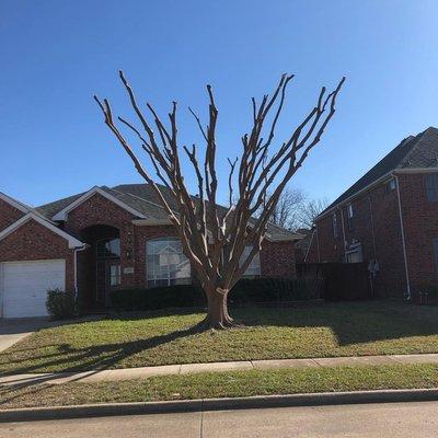 JChavez Flower Mound Tree Service