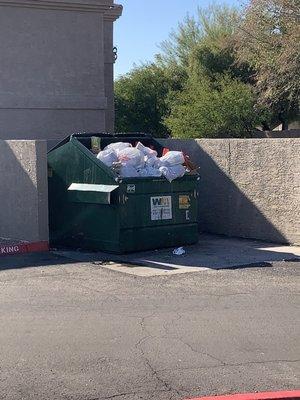 Overflown dumpster on a good day.