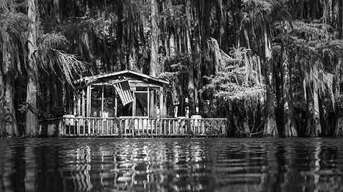 Caddo Lake Bayou Tours