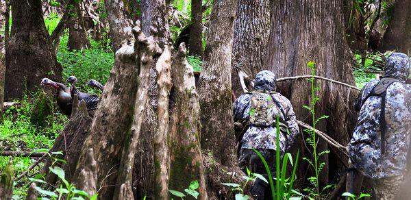 Turkey hunting at the ranch