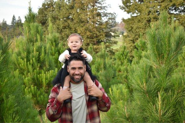 Larsen's Christmas Tree Farms