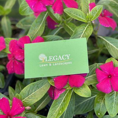 Legacy Lawn & Landscapes