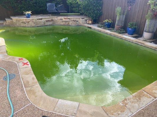 My pool, when Swim Solutions claimed to have serviced it. The first of three times they claimed to have serviced it when they didn't.