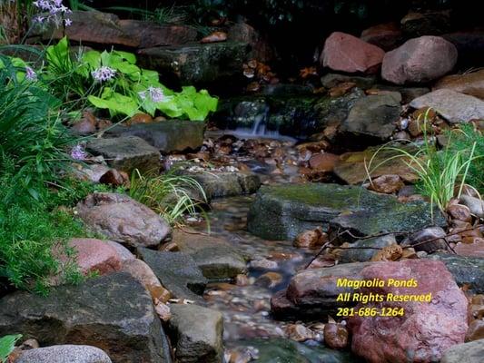 Backyard Serenity!