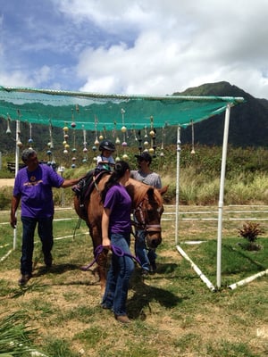 More of the obstacle course.