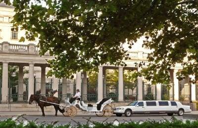 Two white wedding limos