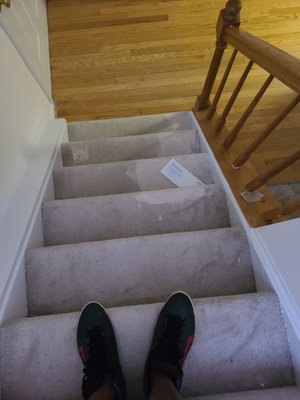 Damaged carpet while painting