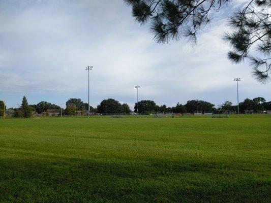 soccer field