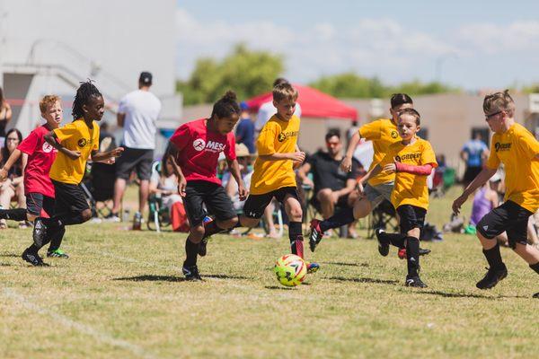 Mesa Youth Sports