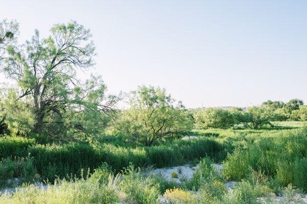 Canaan Meadows - View of the grasslands at the RV Park