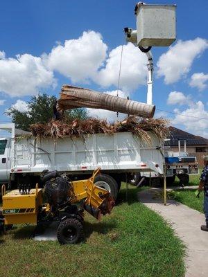 Valleywide Tree Trimming