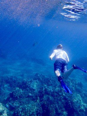 Maui Paddle Sports