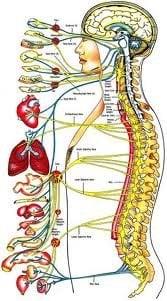 Carey Chiropractic