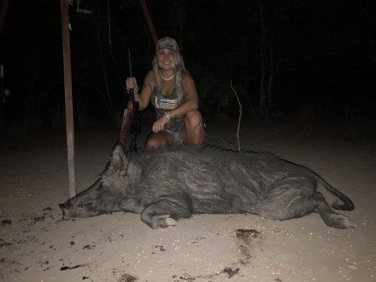 Texas Hog Hunts