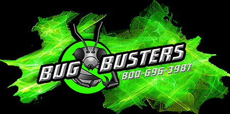 Bug Busters