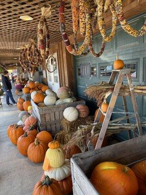 Rhodes Farmer's Market