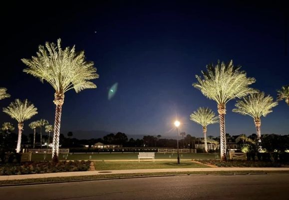 Custom LED Landscape Lighting Design & Installation at Ponte Vedra Inn & Club