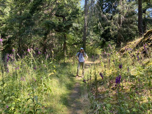 Turtleback Mountain Preserve