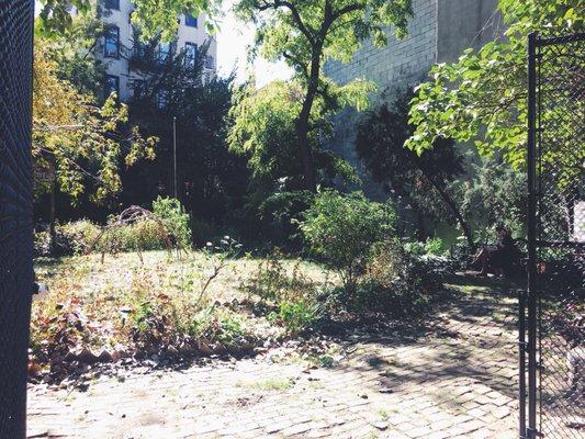 Small community garden