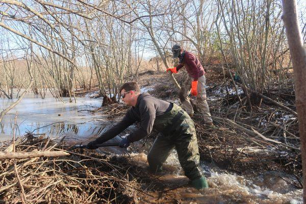 Our technicians provided beaver dam destruction for an HOA to prevent flooding.