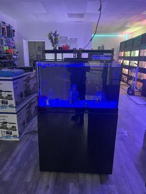 Display tank