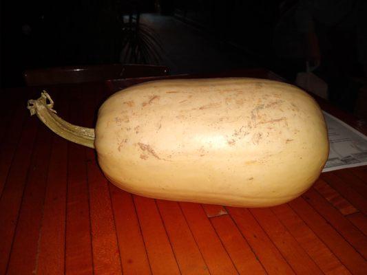 Huge spaghetti squash. Hope it fits in the microwave