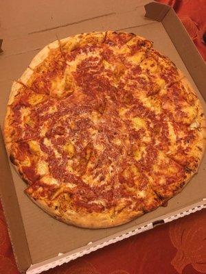 Plain large pizza