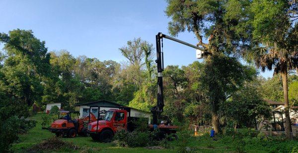 Odoms Beaches Tree Service