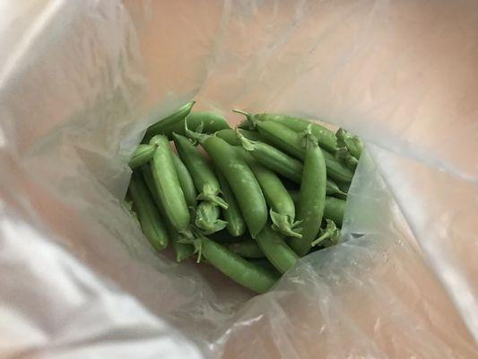 Sugar Snap Peas