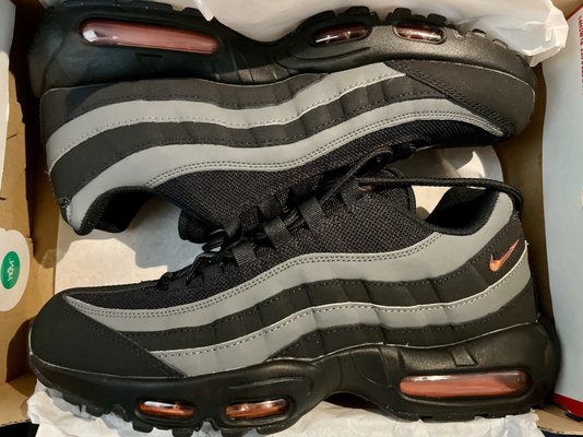 Fresh pair of airmax 95