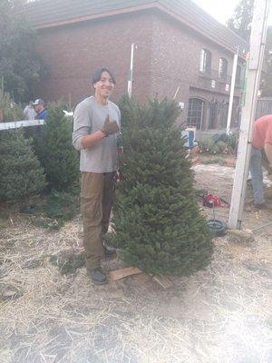 This is Steven. He is awesome! He helped so much with this process. Here he is about to trim the tree for us