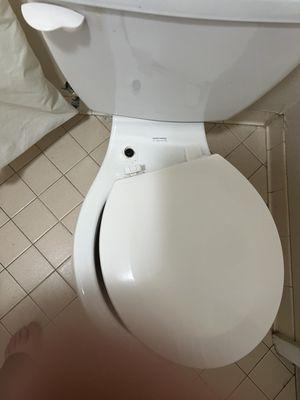 Broken toilet seat