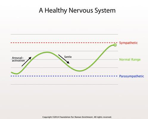 A self-regulating nervous system responds to stress with resilience.