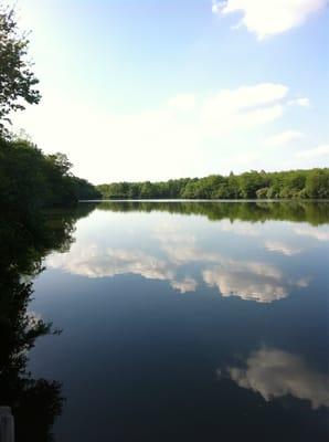 Salt Fork River Preserve