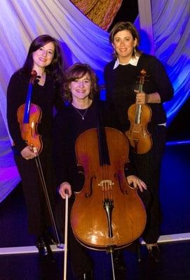 Elegant Ensembles Professional Musicians