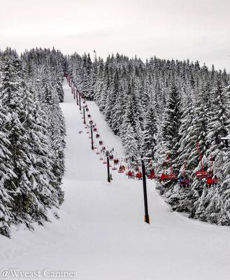 The first chair lift our beginners start on. Since these hills are big and steep, we have a private rope tow to build confidence and skills.