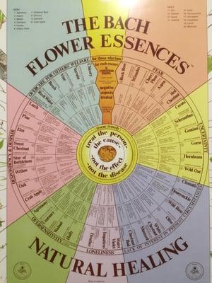 Bach Flower Essence Chart