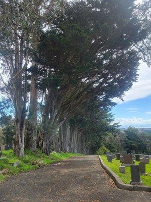 Blue skies, light breezes, and a peaceful place