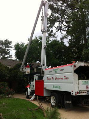 We have some of the most modern equipment to help with any of your Tree's needs!