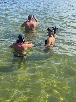 Snorkeling fun at Shell Island. All masks and Snorkels provided.