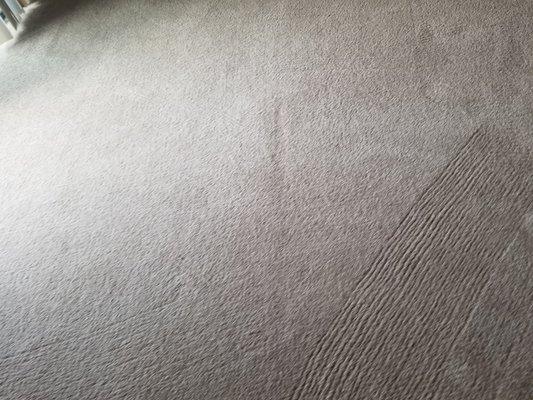 pet stain after picture. pet stain is GONE!!!