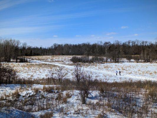 Snowshoers out enjoying a fresh snow fall.