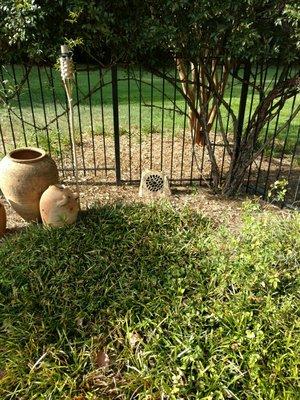 Pool speaker installation.