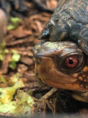 Locust Grove Nature Center