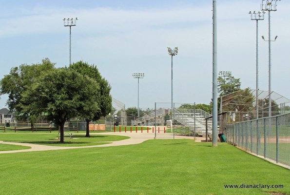 Ball Fields-Diana Clary