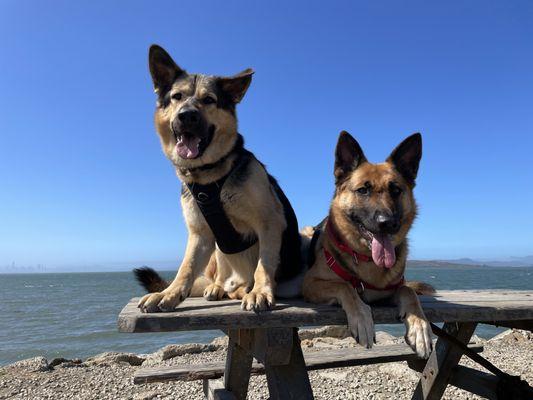 Point Isabel Fun