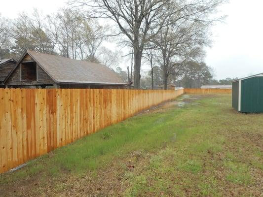 Cedar privacy fence